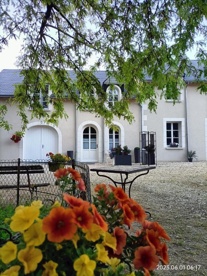 Villa Esperanza Chambre De Plain-Pied, Independante, Proche Zoo De Beauval Et Chateaux De La Loire 瓦朗赛 外观 照片